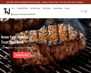 shopify store